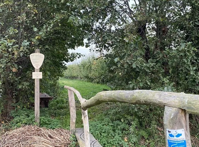 De Koning Διαμέρισμα